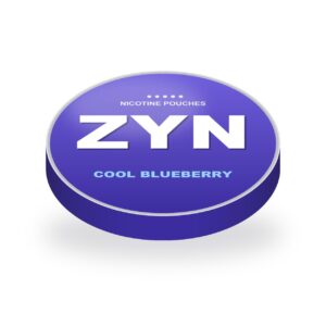 ZYN Nicotine Pouches Cool Blueberry